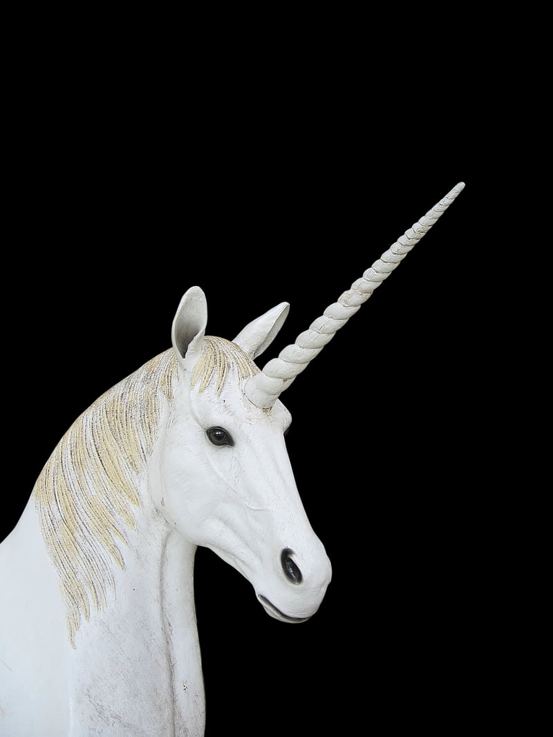 Unicorn fantasy